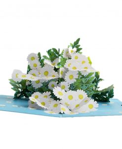 Pop Up 3D Daisy Flowers Blank Greeting Card