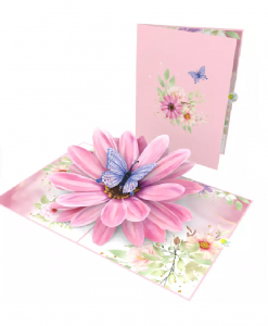 Pop Up 3D Blank Card - Pink African Daisy