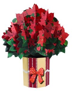 Pop Up 3D Christmas Card Poinsettia Bouquet